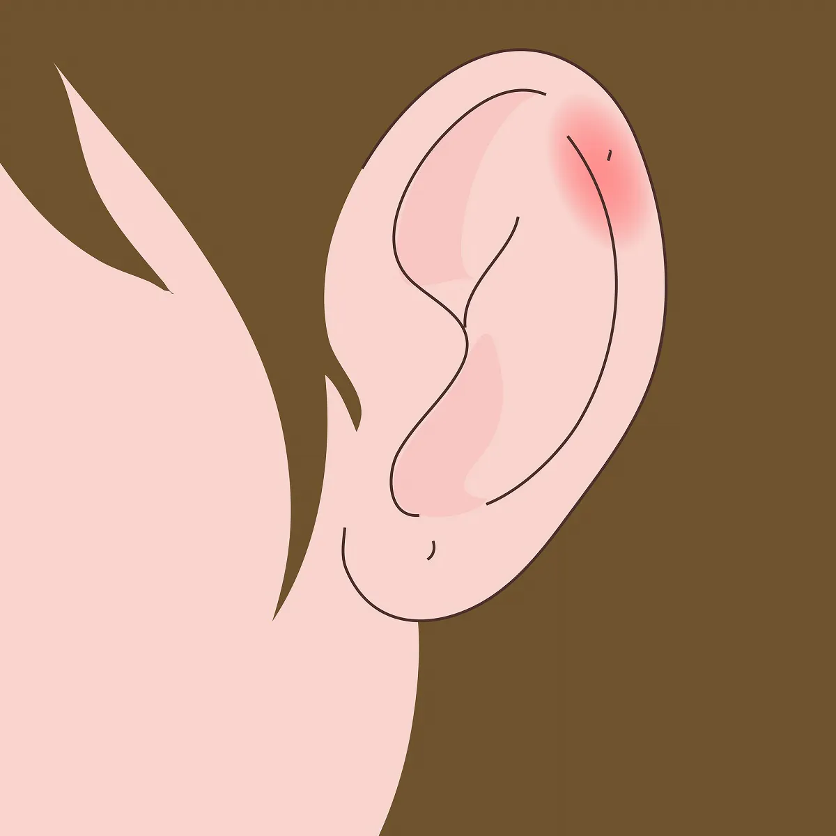 耳の軟骨